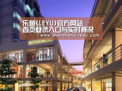 案例展示一(图1)