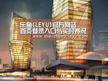 案例展示三